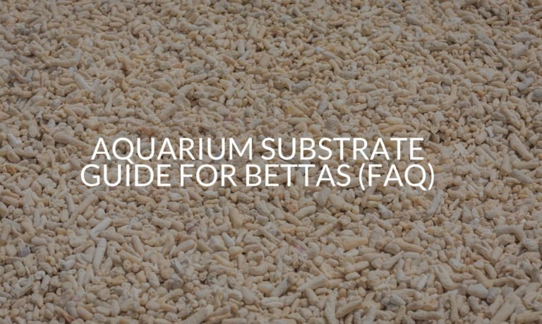 Aqaurium substrate guide