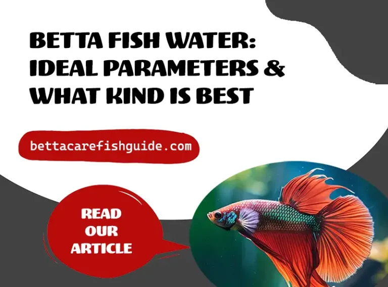 betta fish water ideal parameters