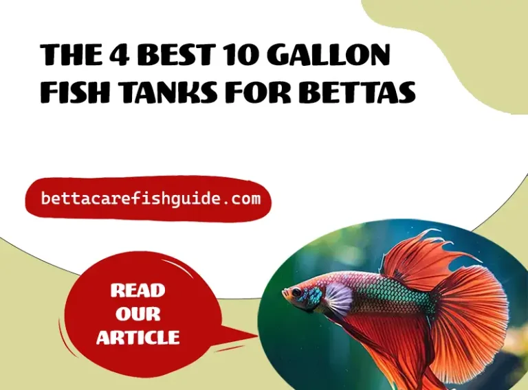 the 4 best 10 gallon fish tanks for bettas