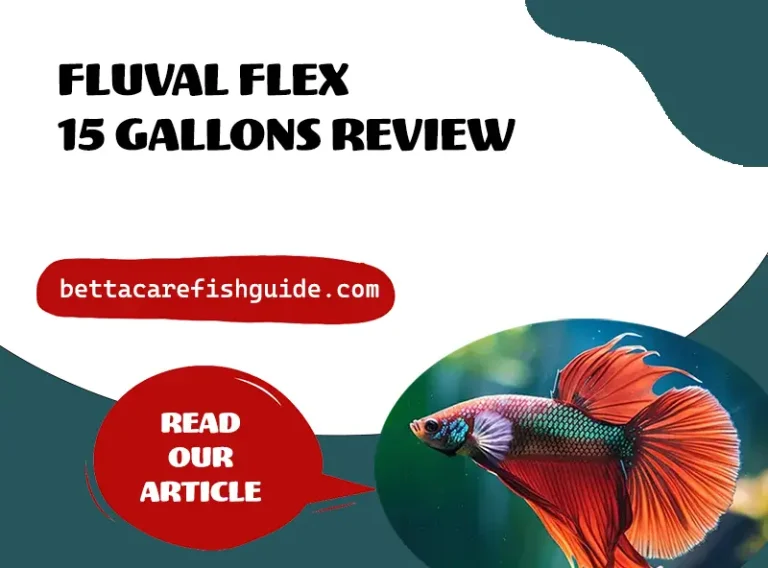 Fluval Flex 15 Gallon Review