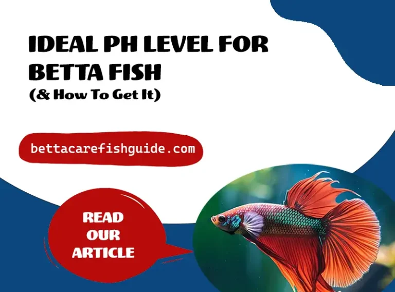 ideal ph level for betta fish
