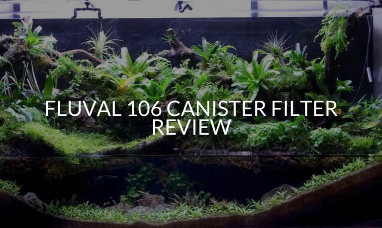 Fluval 106 Canister Filter Review (NEW!)