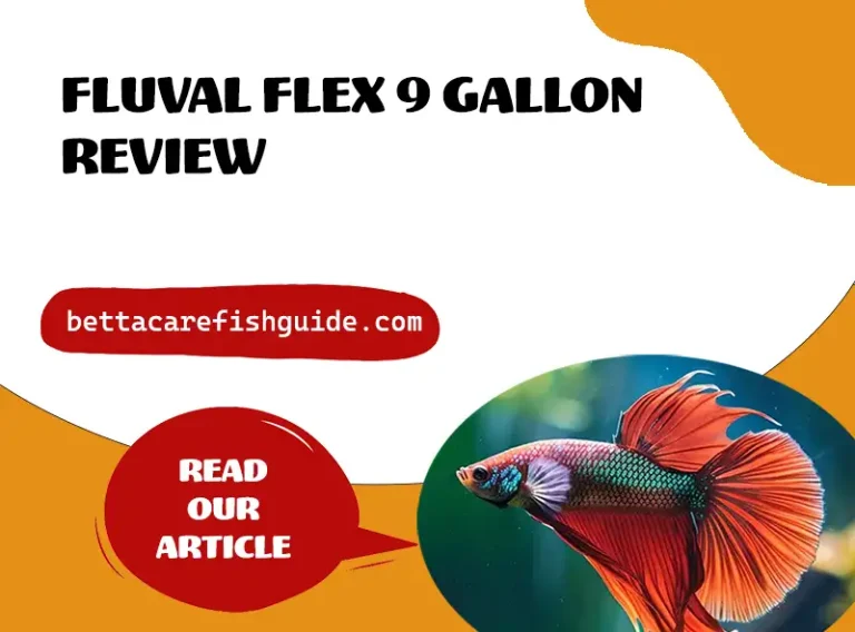 Fluval Flex 9 Gallon (34L) Review