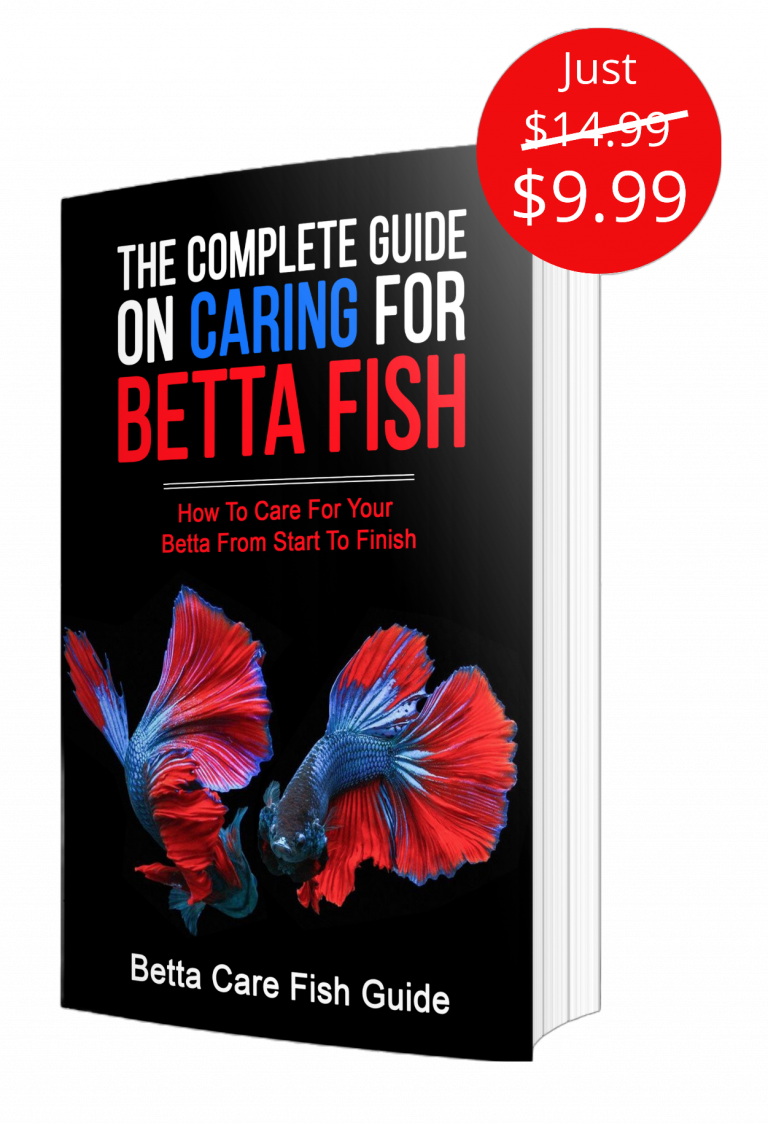 17 Best & 5 Worst Fish For 10 Gallon Tanks Betta Care Fish Guide