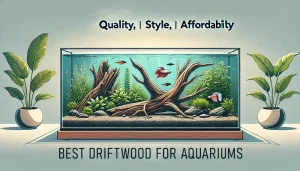 best driftwood for aquariums