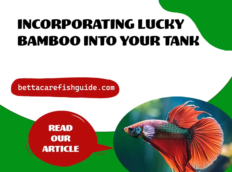 Incorporating Lucky Bamboo into Your Tank