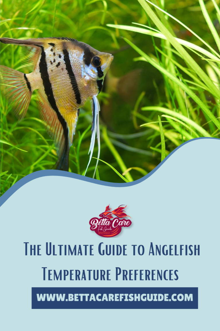 The Ultimate Guide to Angelfish Temperature Preferences