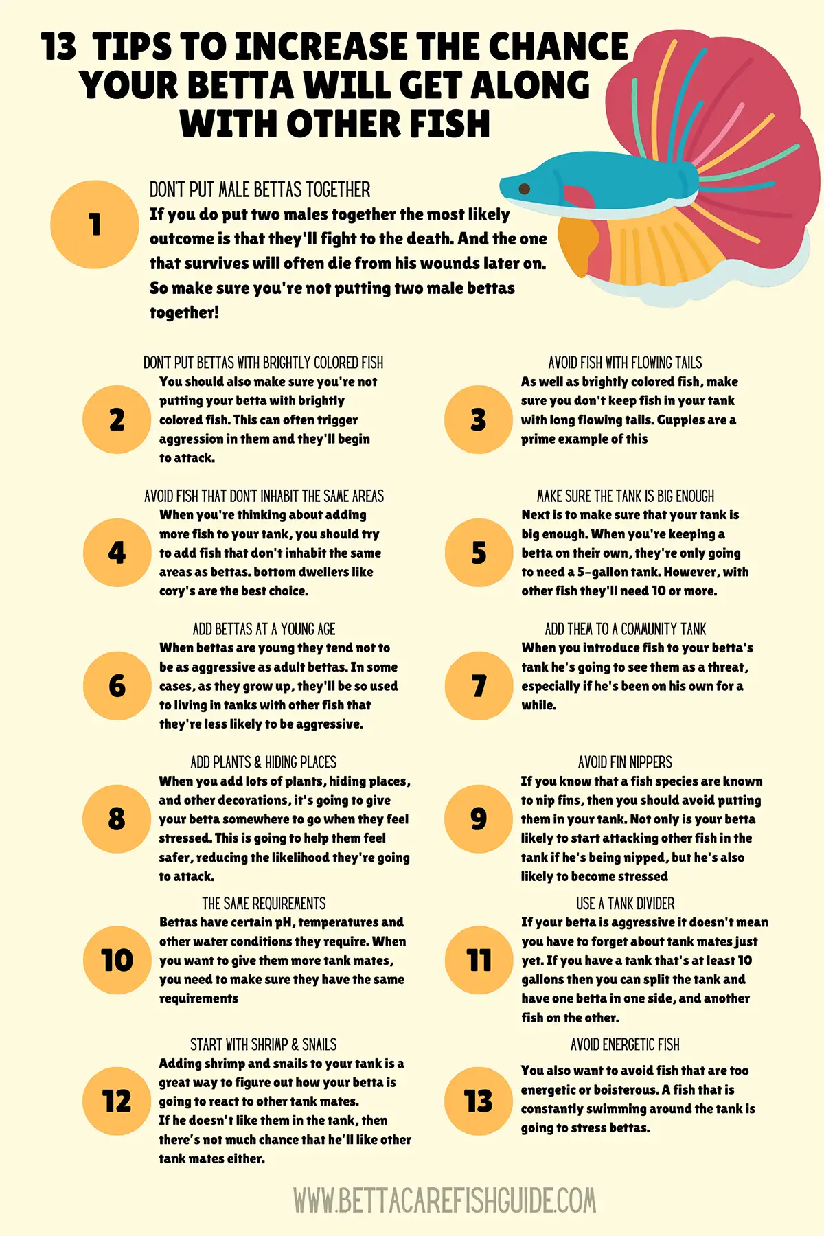 how bettas can live with other fish