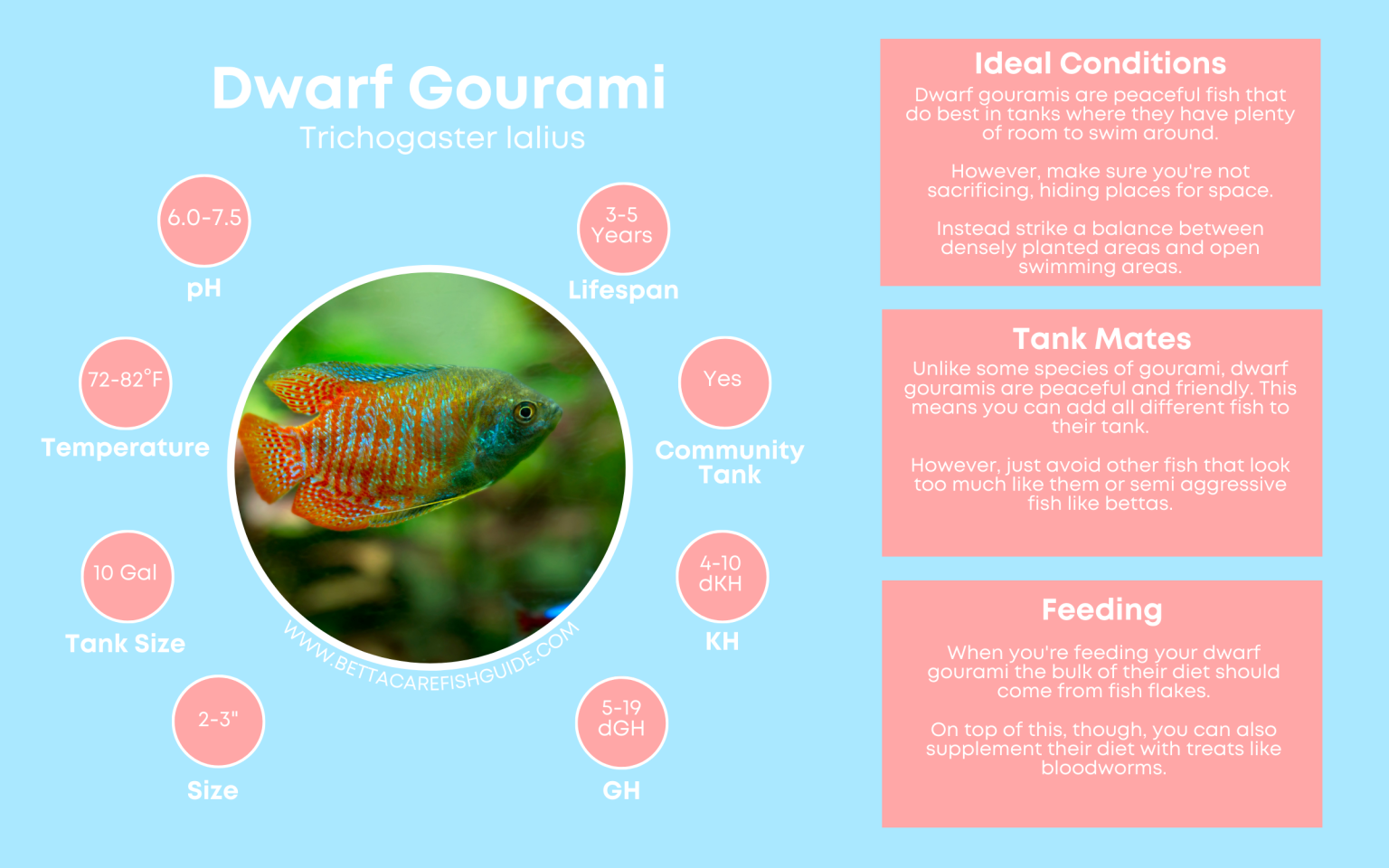 Photo inspiration: Visual Reference: 15 Easiest Fish To Take Care Of Insights From 150