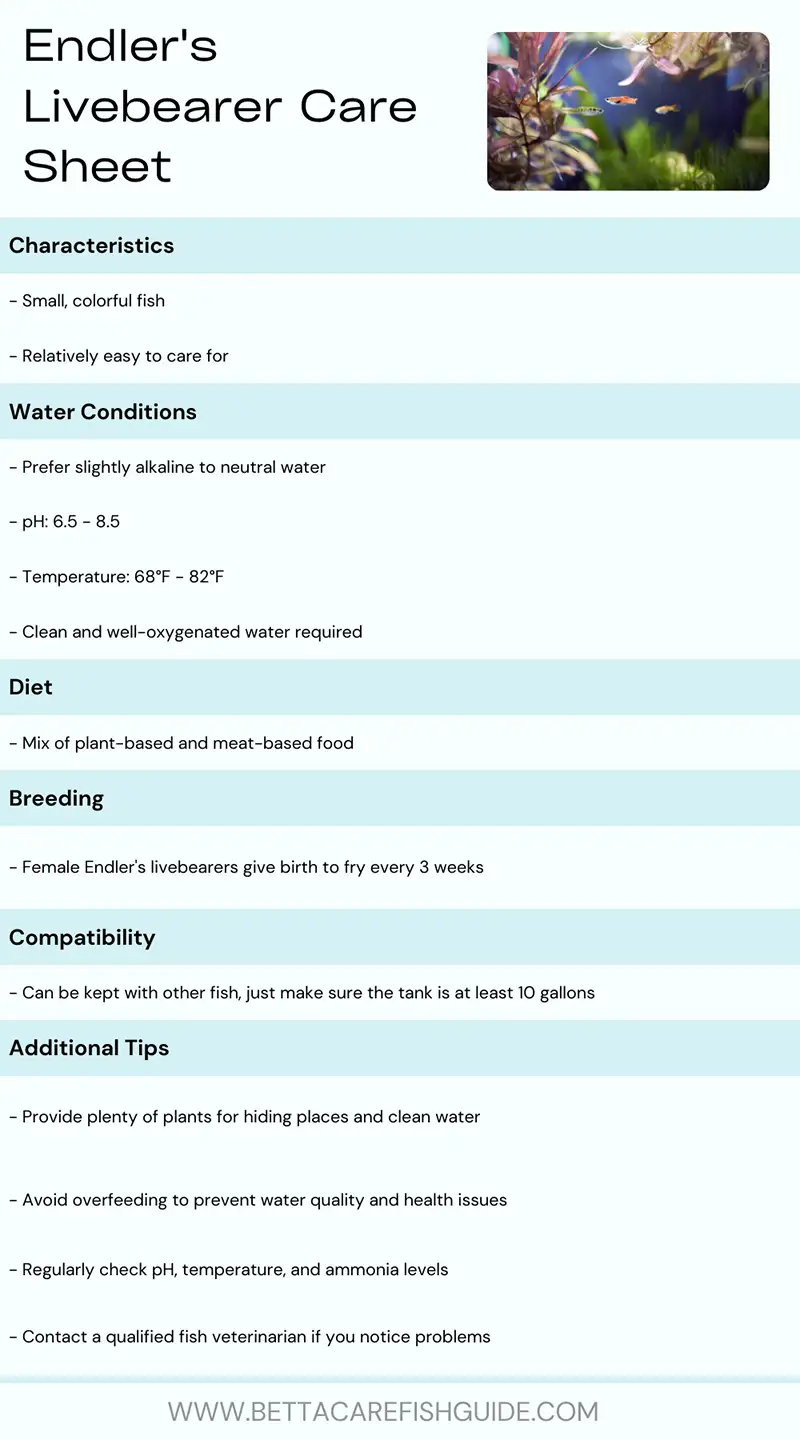endler's livebearer's care sheet table