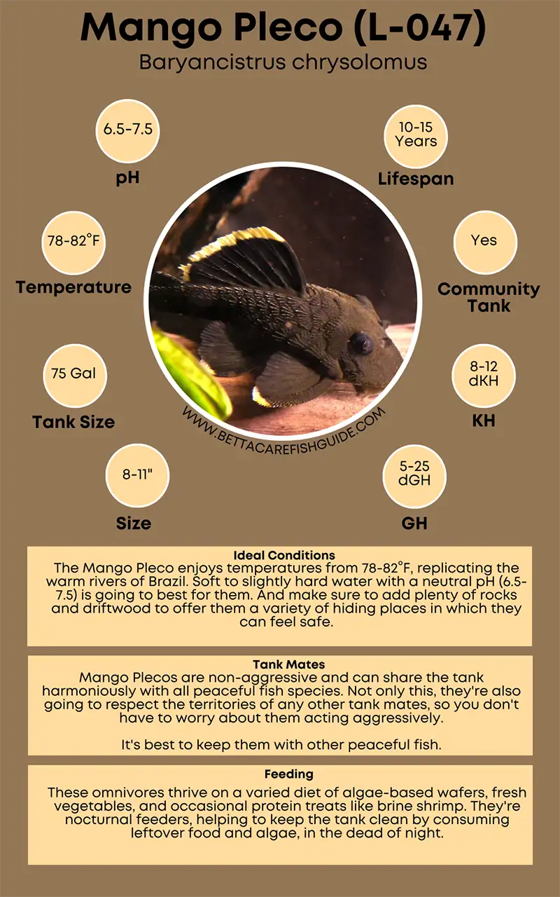 mango pleco (l 047) care sheet
