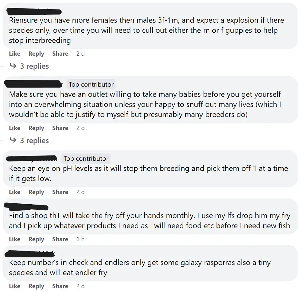 endler's livebearer's facebook community
