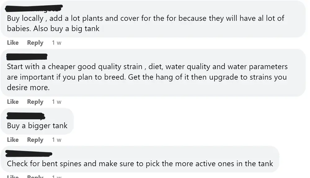 guppy facebook community comments