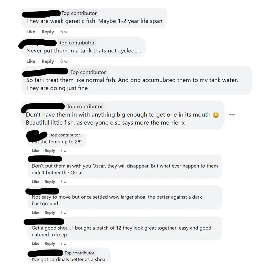 Cardinal Tetra Community Thoughts