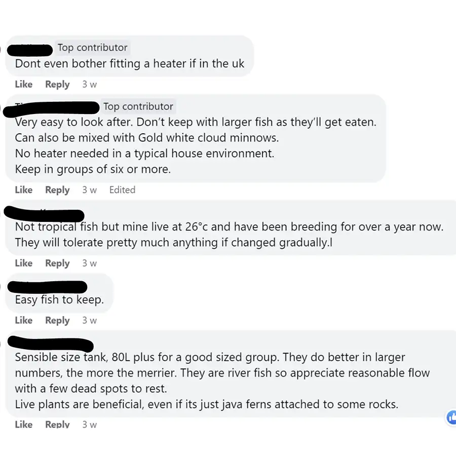 white cloud mountain minnows community thoughts
