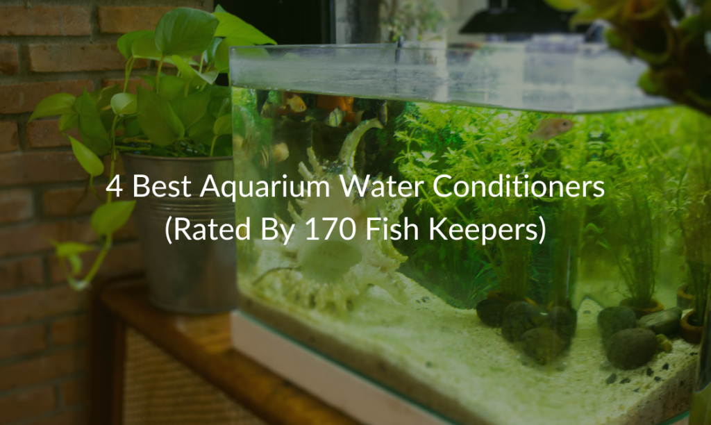 Stunning Aquarium Water Conditioner Additives image