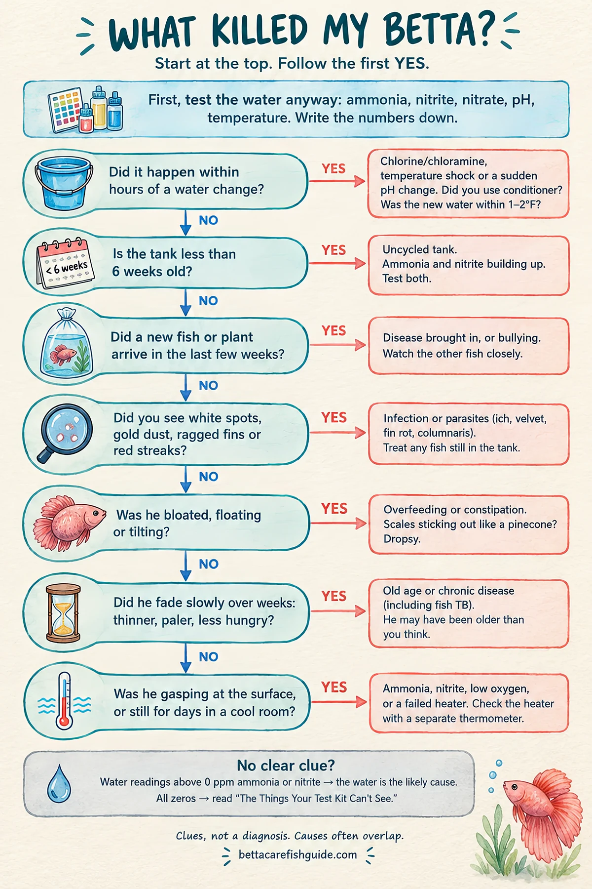 Flowchart to find out what killed your betta: water change, new tank, new fish, visible disease, bloating, slow decline, gasping or cold
