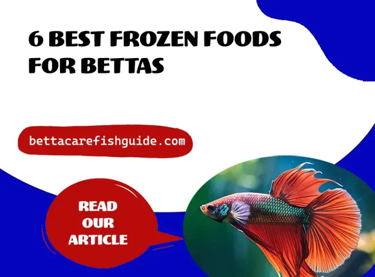 6 best frozen foods for bettas