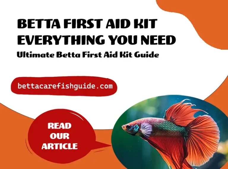 betta first aid kit – everything you need