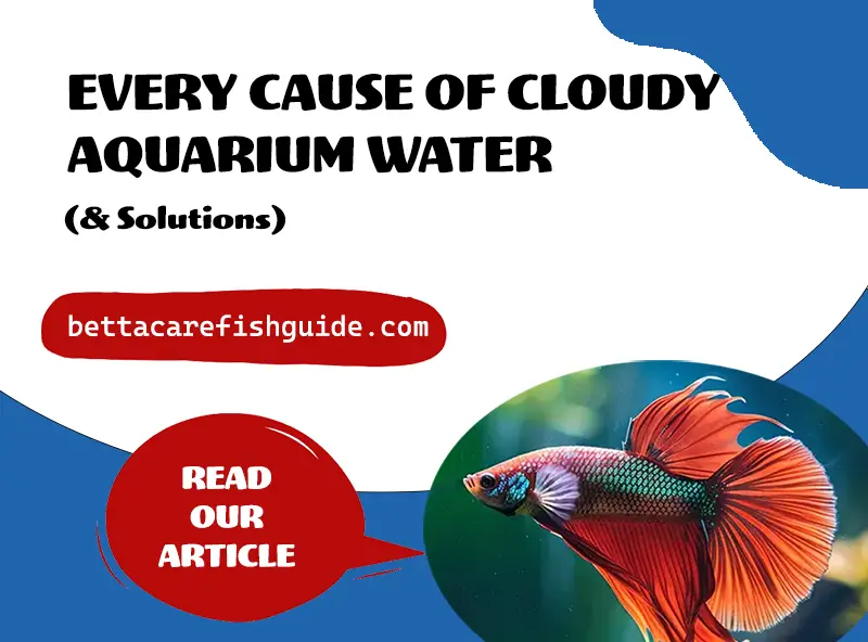 EVERY Cause Of Cloudy Aquarium Water (& Solutions)