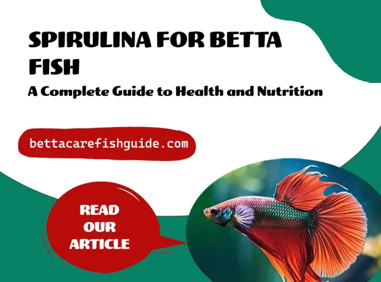 spirulina for betta fish