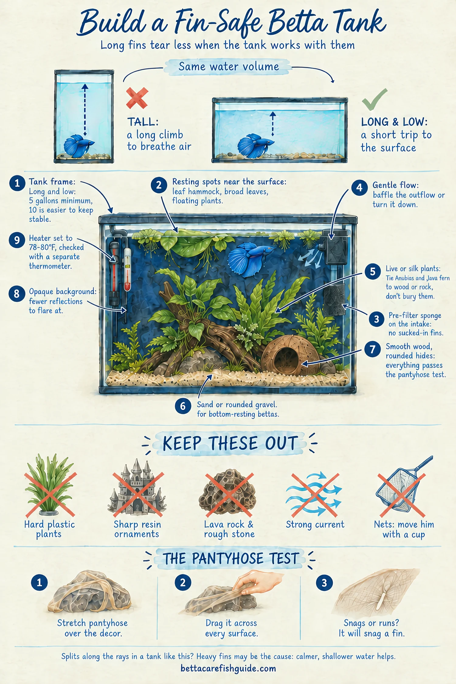 Illustrated fin-safe betta tank setup: long low aquarium with a leaf hammock near the surface, sponge-covered filter intake, gentle outflow, live plants tied to smooth driftwood, sand substrate, dark background, and items to keep out such as plastic plants and sharp ornaments