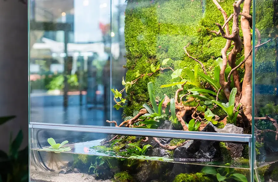 garden with rock and driftwood in glass container