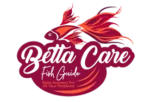 cropped betta care fish guide logo 276.webp