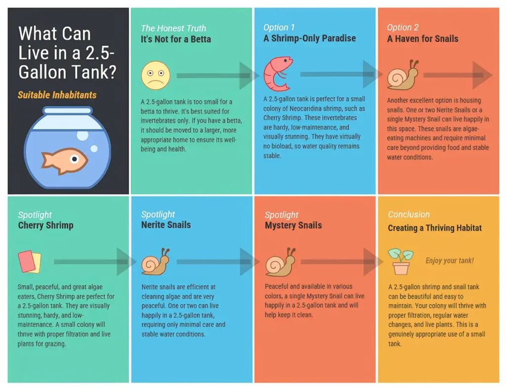 Infographic showing suitable inhabitants for a 2.5-gallon tank. It explains that it's not for a betta and recommends two main options: a shrimp-only paradise with Cherry Shrimp, or a haven for snails like Nerite and Mystery Snails.