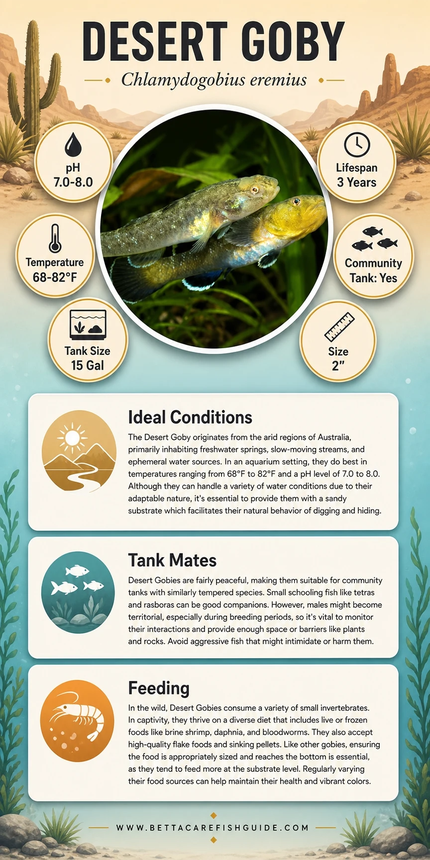 desert goby care sheet