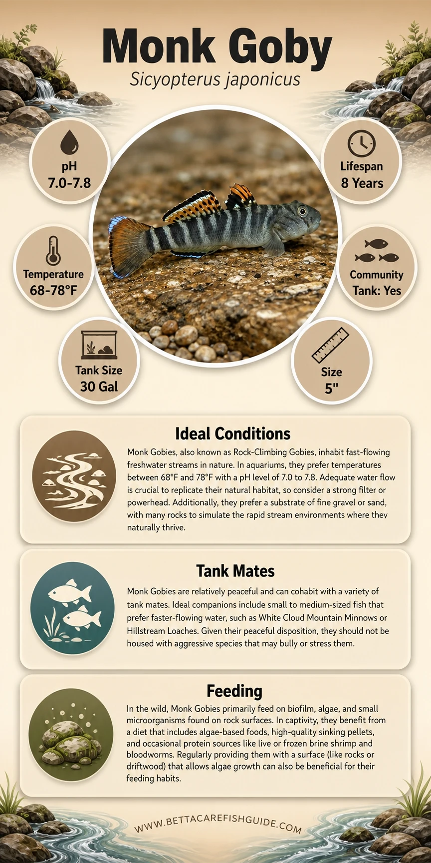 monk goby care sheet